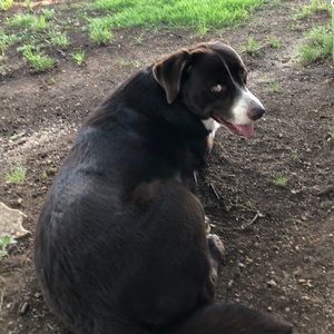 Meet your Posher, Janice